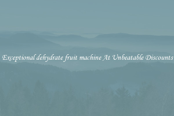 Exceptional dehydrate fruit machine At Unbeatable Discounts