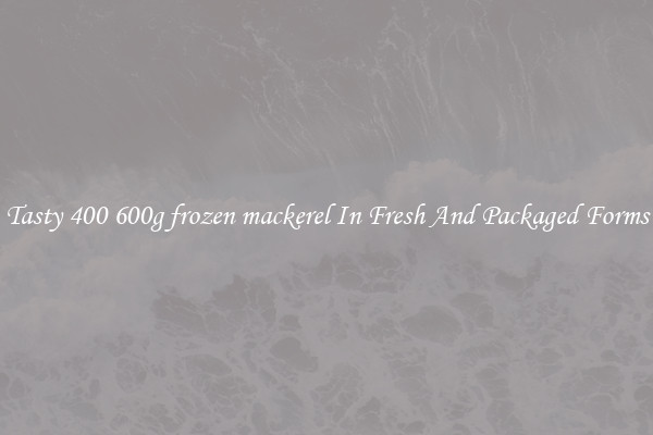 Tasty 400 600g frozen mackerel In Fresh And Packaged Forms