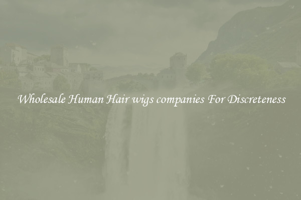 Wholesale Human Hair wigs companies For Discreteness