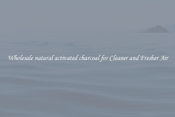 Wholesale natural activated charcoal for Cleaner and Fresher Air
