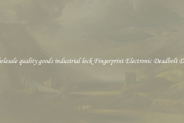 Wholesale quality goods industrial lock Fingerprint Electronic Deadbolt Door 