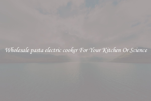 Wholesale pasta electric cooker For Your Kitchen Or Science