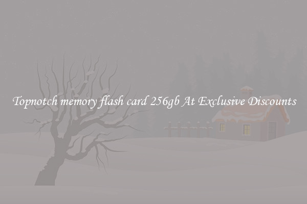 Topnotch memory flash card 256gb At Exclusive Discounts