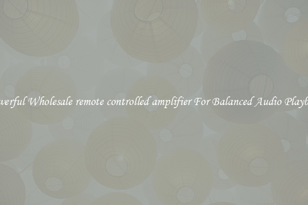 Powerful Wholesale remote controlled amplifier For Balanced Audio Playback