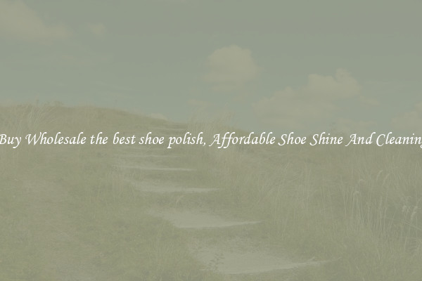 Buy Wholesale the best shoe polish, Affordable Shoe Shine And Cleaning
