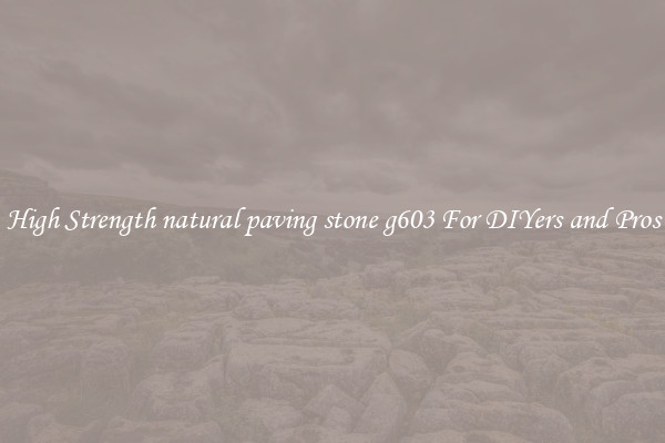 High Strength natural paving stone g603 For DIYers and Pros