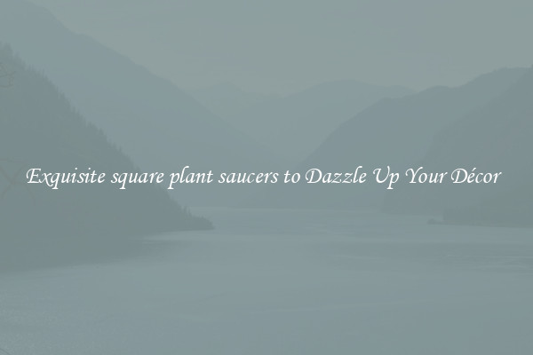 Exquisite square plant saucers to Dazzle Up Your Décor  