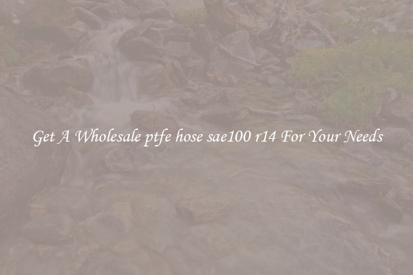 Get A Wholesale ptfe hose sae100 r14 For Your Needs