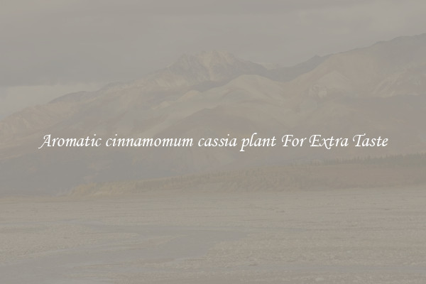 Aromatic cinnamomum cassia plant For Extra Taste