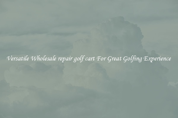 Versatile Wholesale repair golf cart For Great Golfing Experience 