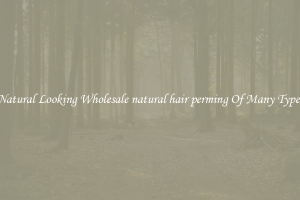Natural Looking Wholesale natural hair perming Of Many Types