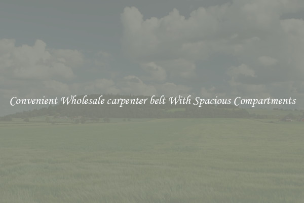 Convenient Wholesale carpenter belt With Spacious Compartments