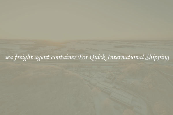 sea freight agent container For Quick International Shipping