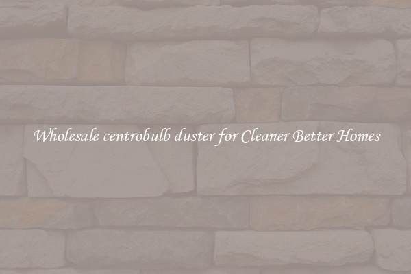 Wholesale centrobulb duster for Cleaner Better Homes
