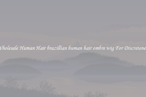 Wholesale Human Hair brazillian human hair ombre wig For Discreteness