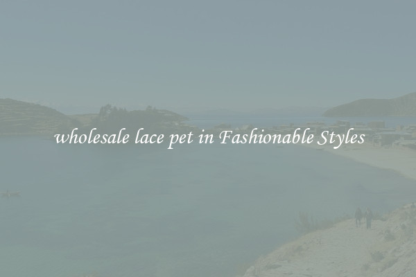 wholesale lace pet in Fashionable Styles