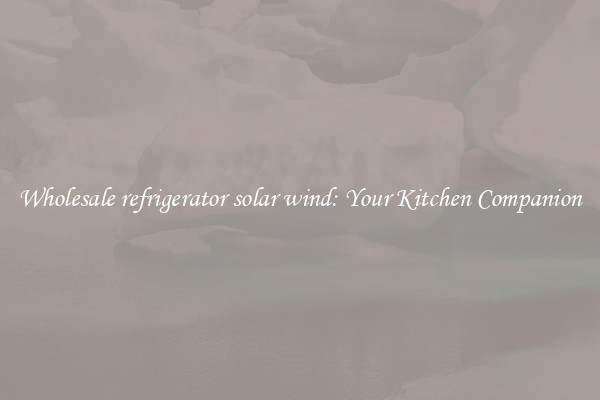 Wholesale refrigerator solar wind: Your Kitchen Companion