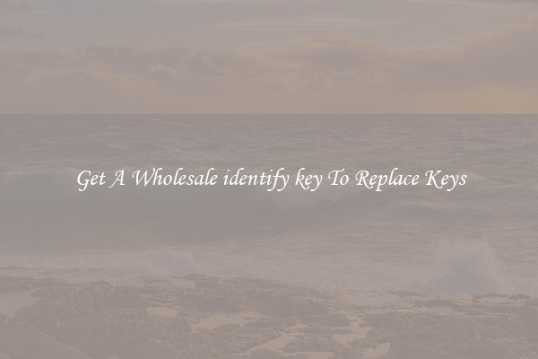 Get A Wholesale identify key To Replace Keys