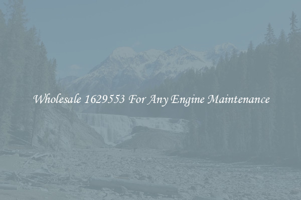 Wholesale 1629553 For Any Engine Maintenance