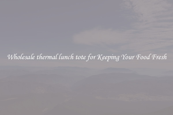 Wholesale thermal lunch tote for Keeping Your Food Fresh