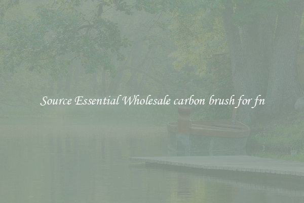 Source Essential Wholesale carbon brush for fn