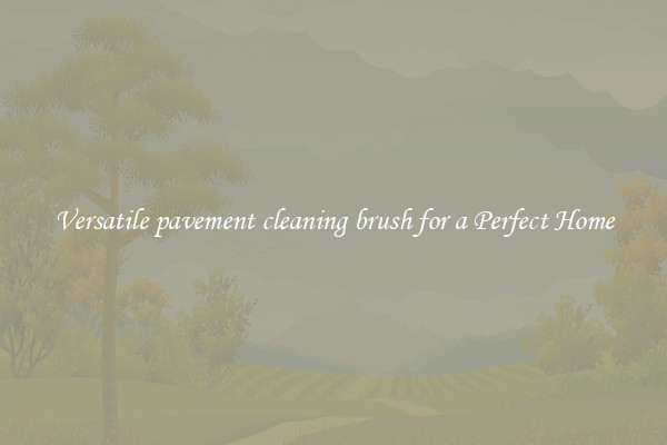 Versatile pavement cleaning brush for a Perfect Home
